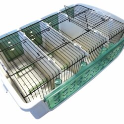 SAFARI CAGE