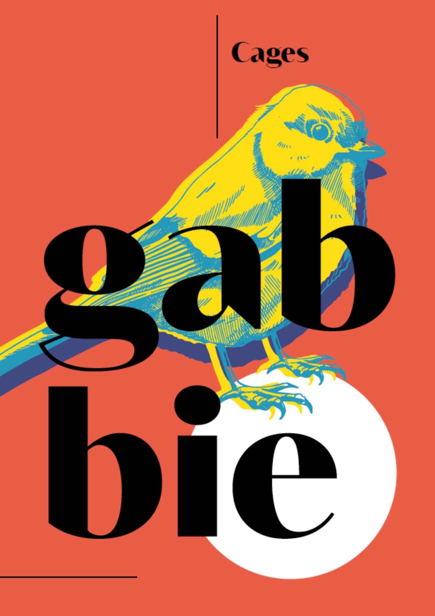 categoria gabbie