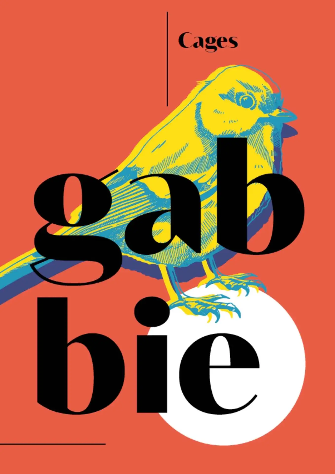 categoria gabbie